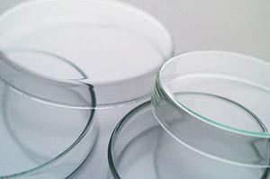 交野市周辺で大腸カメラを行うなら