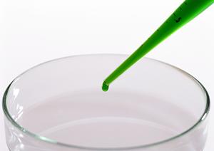 「白金で見つける心のケア：子供と自分を守るための精神科クリニックガイド」