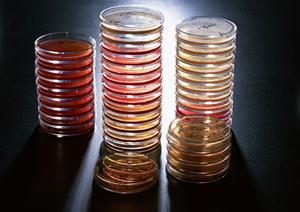 ネットを上手に活用し芦屋市の歯医者選び